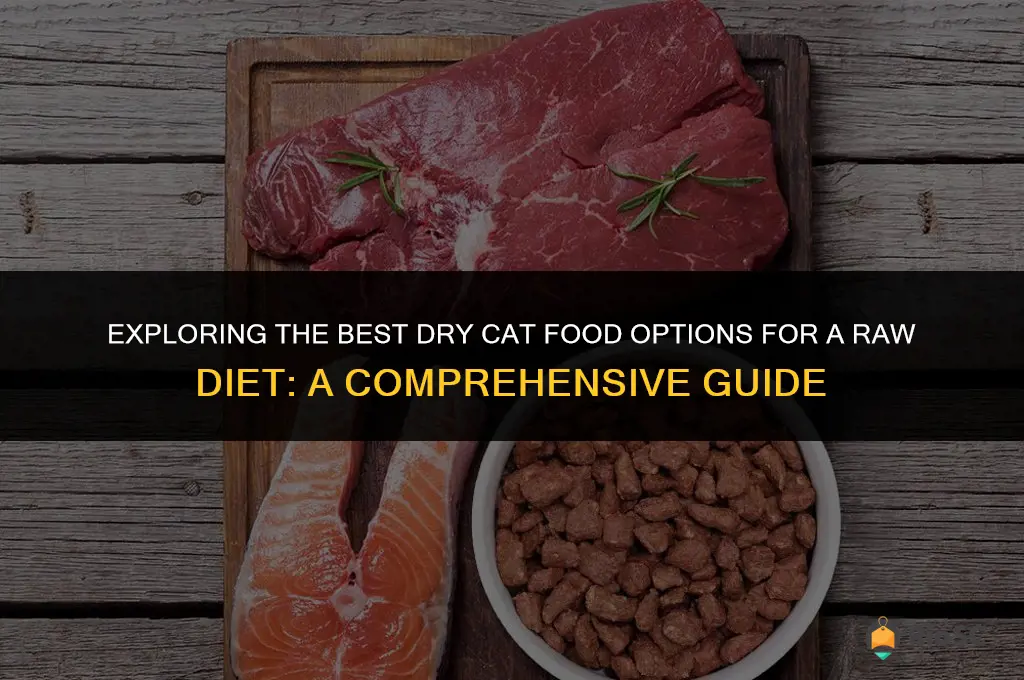 best dry cat food for raw diet