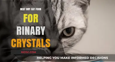 Top Picks for Dry Cat Food to Prevent Urinary Crystals