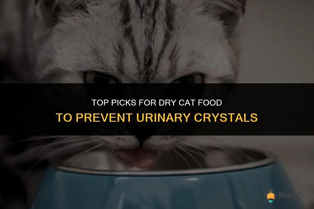 best dry cat food for rinary crystals