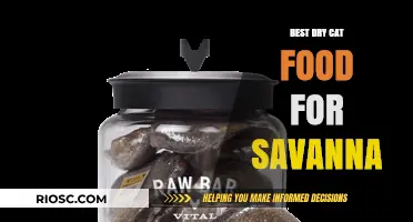 Top Picks for Savanna: The Best Dry Cat Food Options