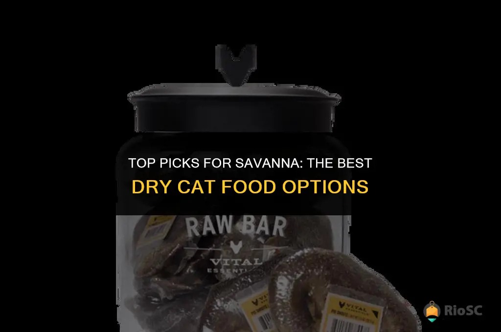 best dry cat food for savanna