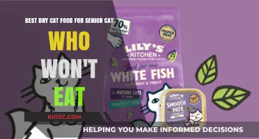 Top Picks for Senior Cats: The Best Dry Cat Food for Fussy Eaters