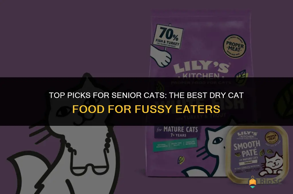best dry cat food for senior cat who won