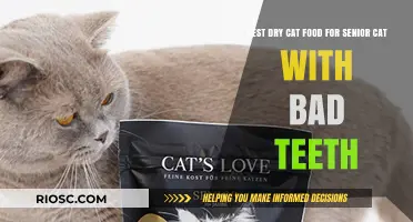 Top Picks for Senior Cats with Dental Issues: The Best Dry Cat Food Options
