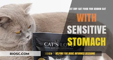 Top Picks for Gentle Nutrition: Best Dry Cat Food for Senior Cats with Sensitive Stomachs