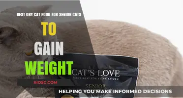 Nourishing Senior Cats: Top Dry Food Choices to Support Healthy Weight Gain