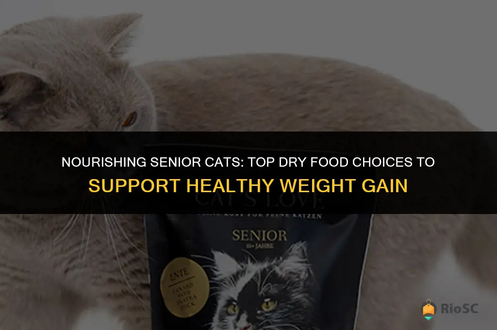 best dry cat food for senior cats to gain weight