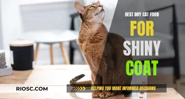 Top Picks for Lustrous Feline Locks: The Best Dry Cat Food for a Shiny Coat