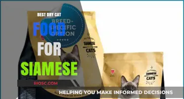 Top Picks for Siamese Cats: The Best Dry Cat Food Options
