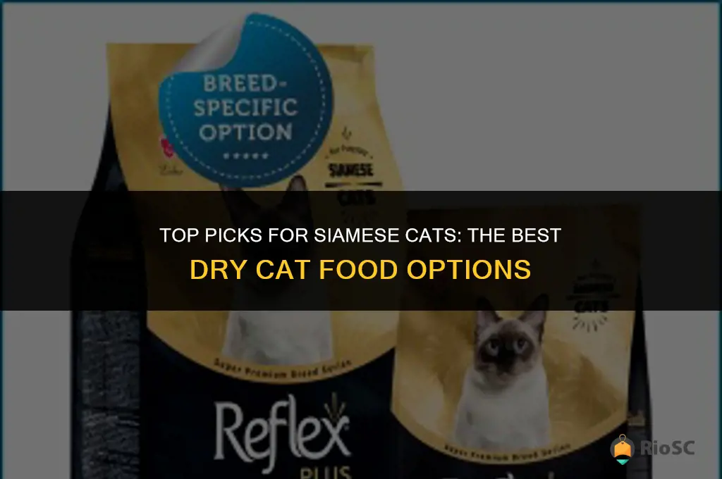 best dry cat food for siamese