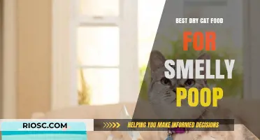 Top Picks for Taming Tummy Troubles: The Best Dry Cat Food for Smelly Poop