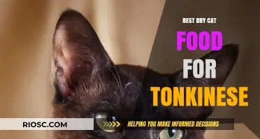 Top Picks for Tonkinese Taste: The Best Dry Cat Food Options