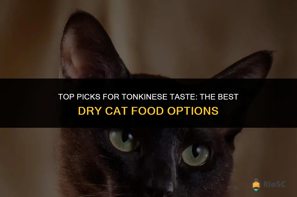 best dry cat food for tonkinese