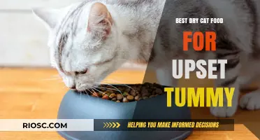 Soothing Solutions: Top Dry Cat Food Picks for Sensitive Stomachs