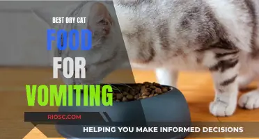 Top Picks for Sensitive Stomachs: The Best Dry Cat Food to Help Reduce Vomiting