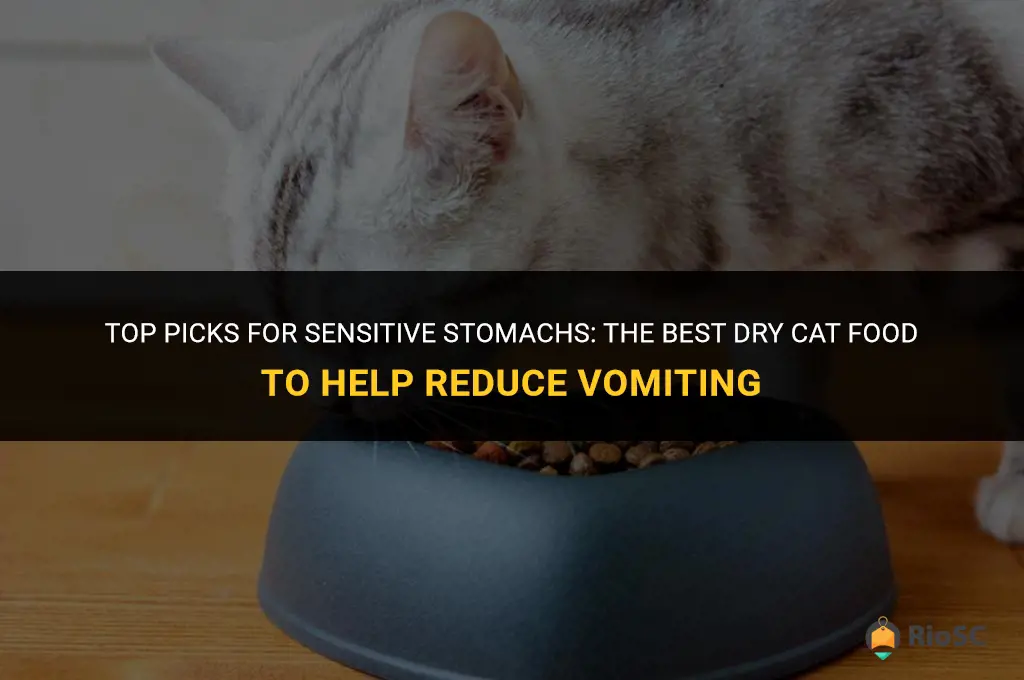 best dry cat food for vomiting
