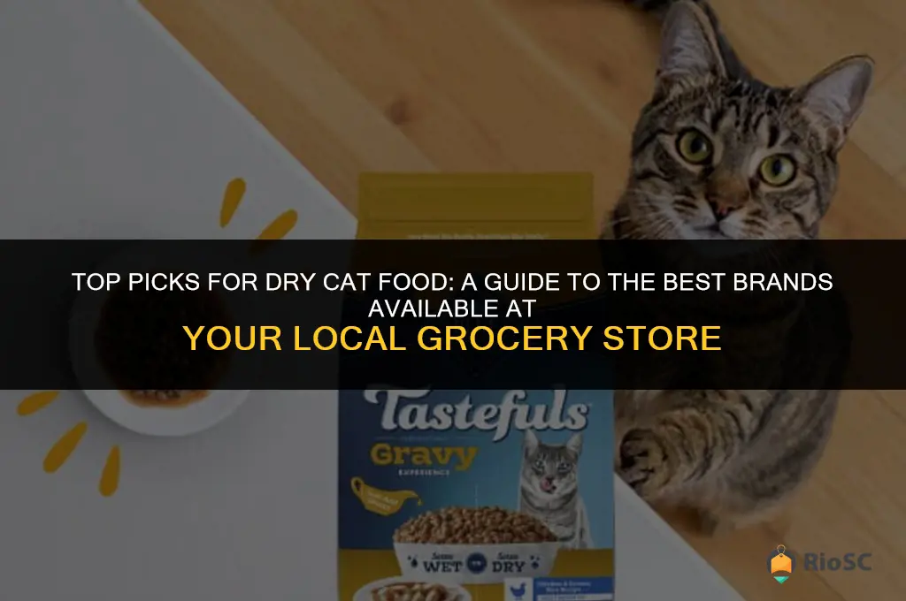 best dry cat food grocery store