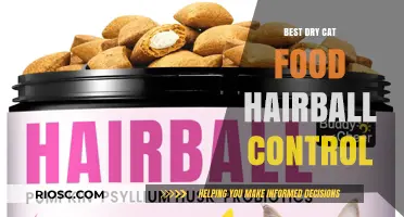 Top Picks for Hairball Control: The Best Dry Cat Food Options