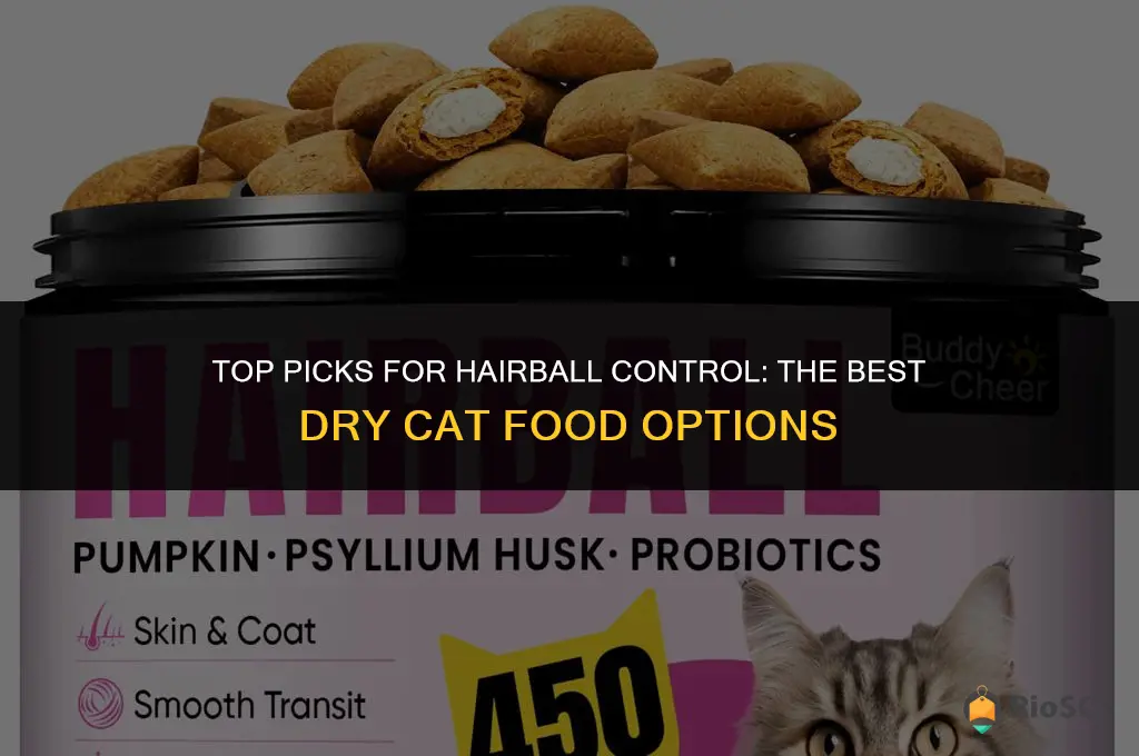 best dry cat food hairball control