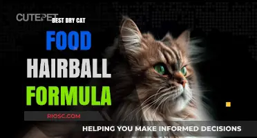 Top Picks for Hairball Prevention: The Best Dry Cat Food Formulas