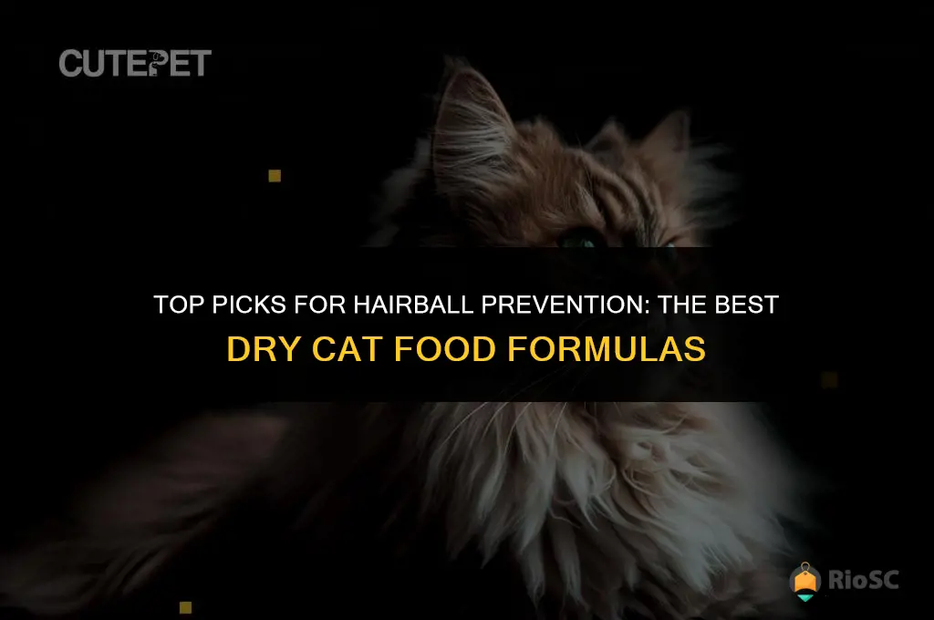 best dry cat food hairball formula