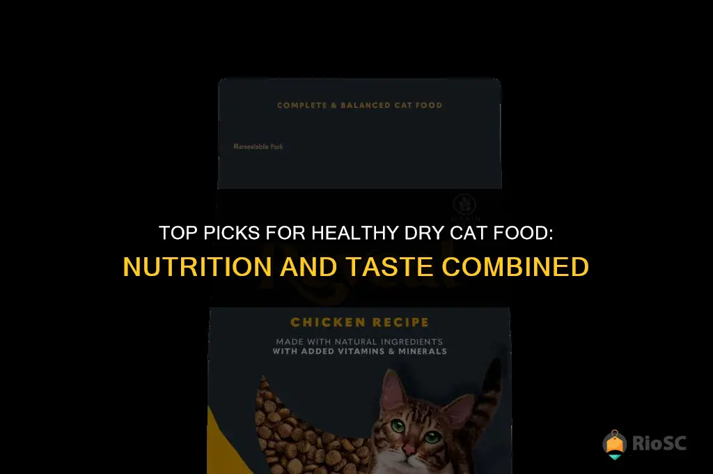 best dry cat food healthy