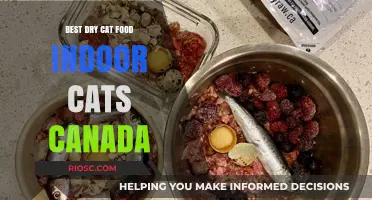 Top Picks for Indoor Cats: The Best Dry Cat Food Options in Canada