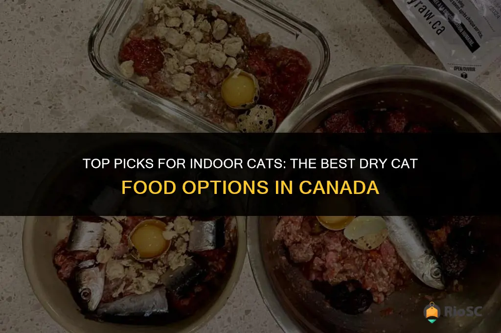 best dry cat food indoor cats canada