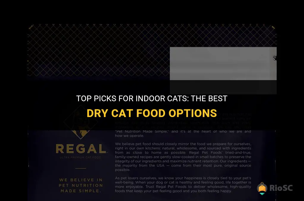 best dry cat food indoor