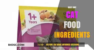 Whiskas' Guide to Premium Dry Cat Food Ingredients: What to Look for in Your Feline's Diet