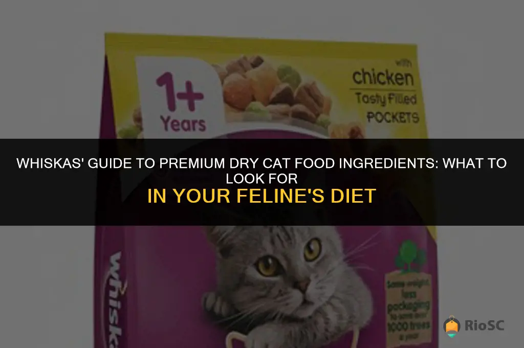 best dry cat food ingredients