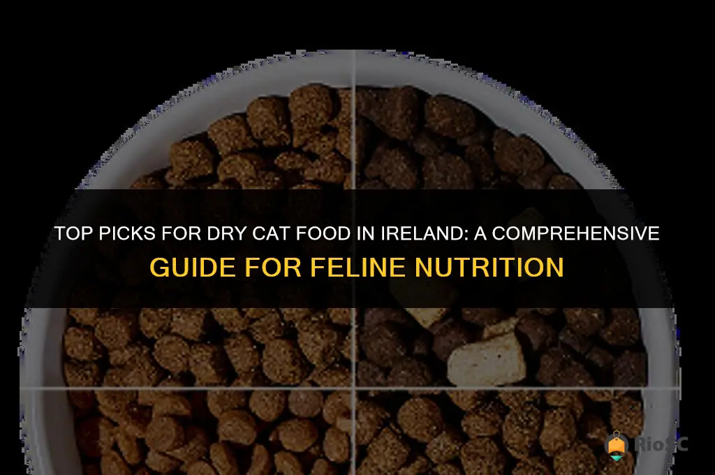 best dry cat food ireland