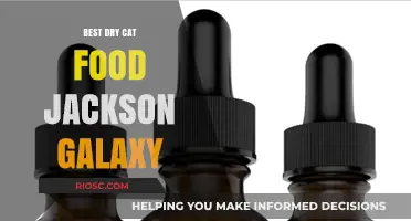 Top Picks for Your Feline Friend: Jackson Galaxy's Favorite Dry Cat Foods