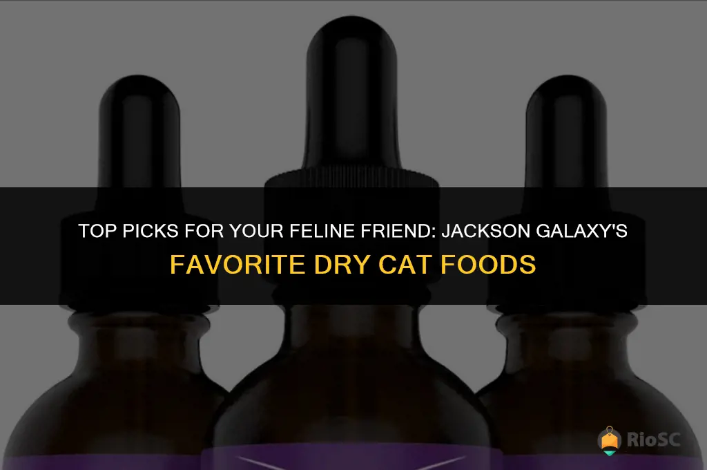 best dry cat food jackson galaxy