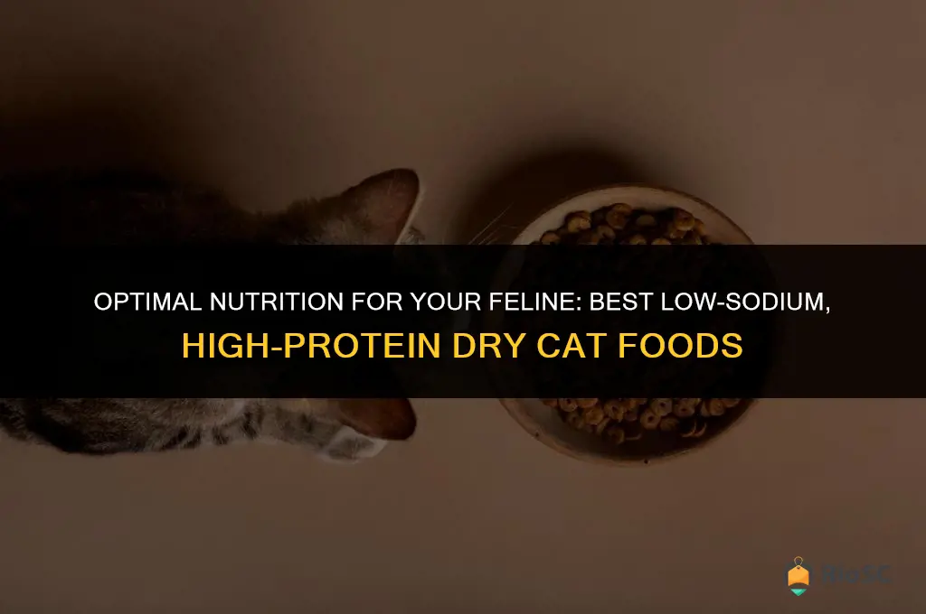 best dry cat food low sodium high protein