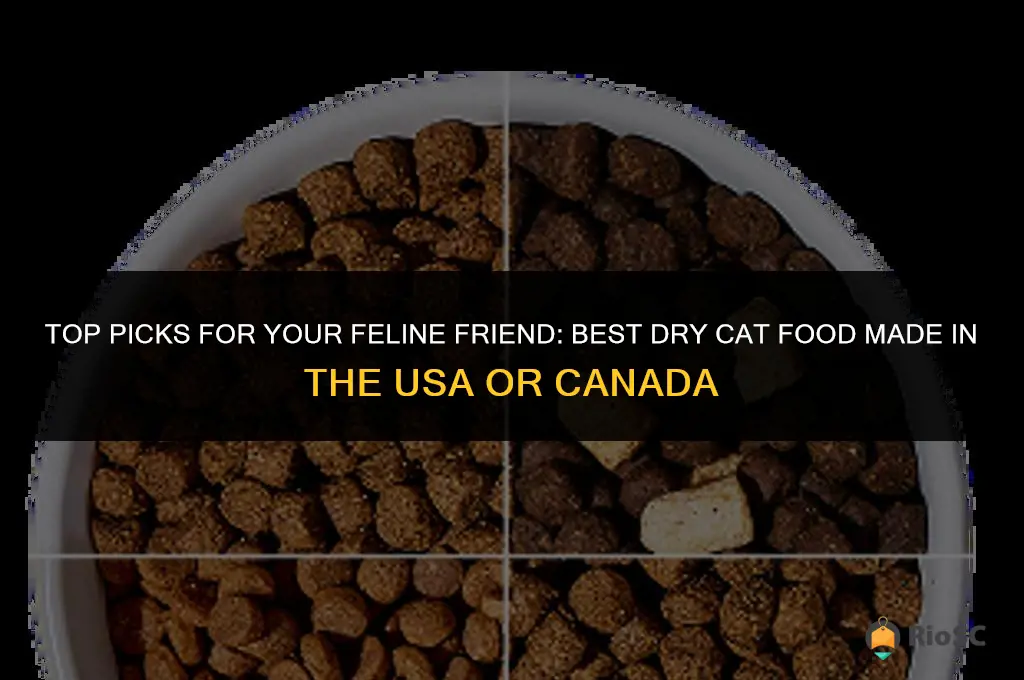 best dry cat food madein uas or canada