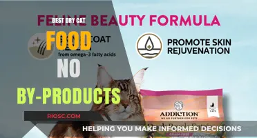 Top Picks for Premium Dry Cat Food: By-Product Free Options for Your Feline Friend
