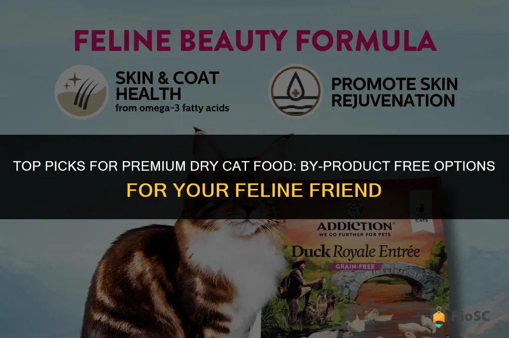 best dry cat food no by-products