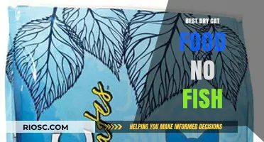 Top Fish-Free Dry Cat Food Options: A Comprehensive Guide for Feline Health