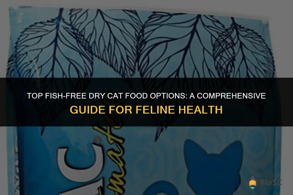 best dry cat food no fish