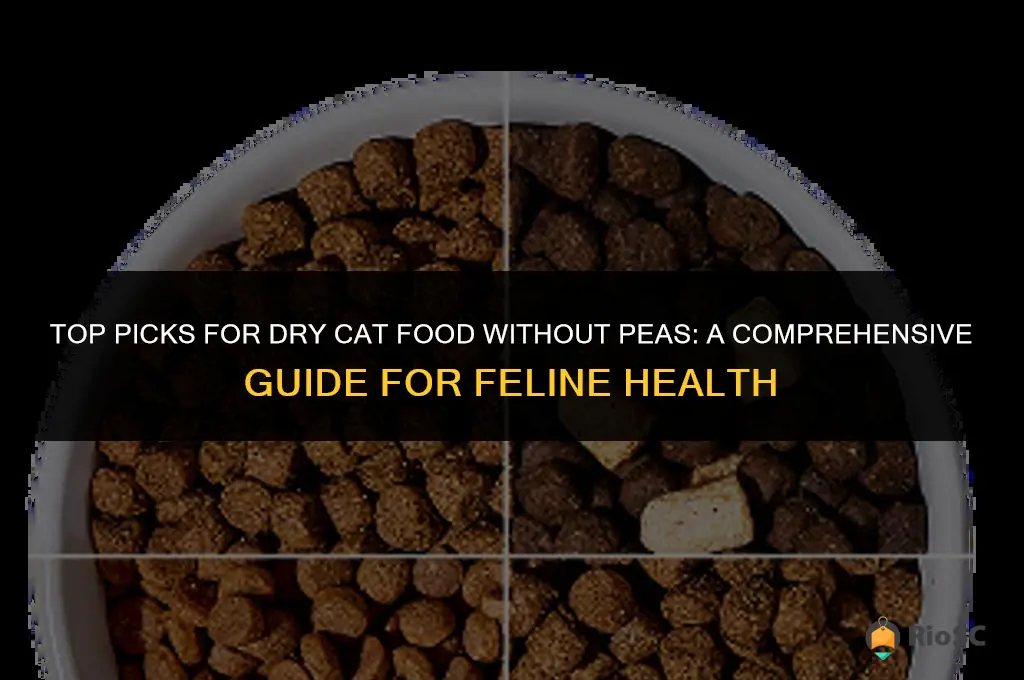 best dry cat food no peas