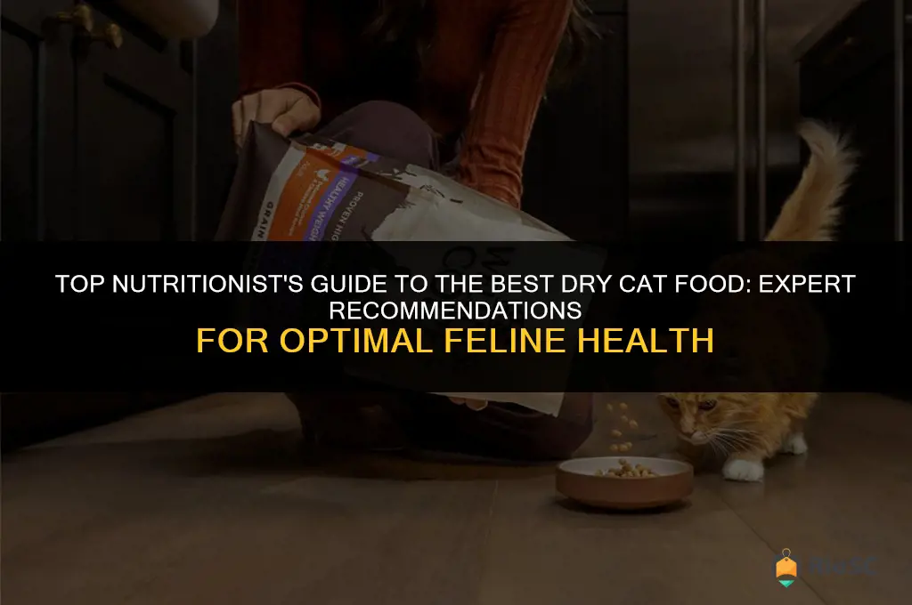 best dry cat food nutritionist