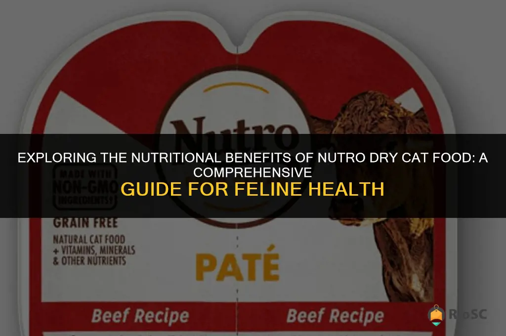 best dry cat food nutro