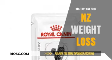 Slim Down Your Feline Friend: Top Dry Cat Food Picks for Weight Loss in New Zealand