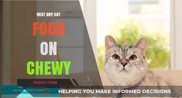 Top Picks for Your Feline Friend: The Best Dry Cat Food Available on Chewy