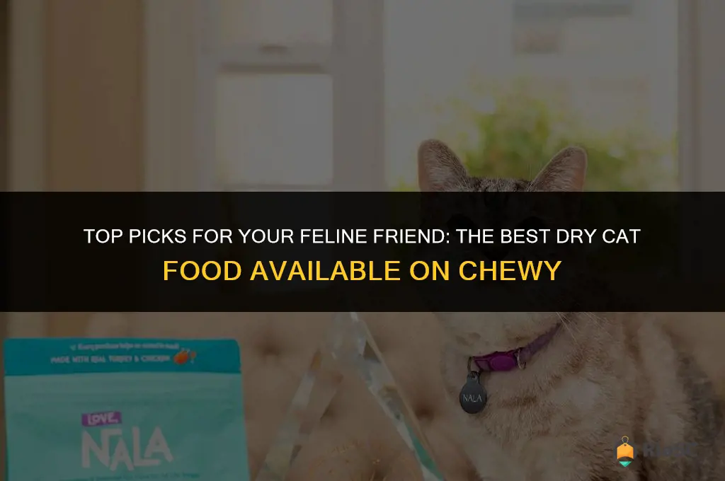 best dry cat food on chewy