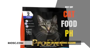 Top Picks for Your Feline Friend: The Best Dry Cat Food in the Philippines