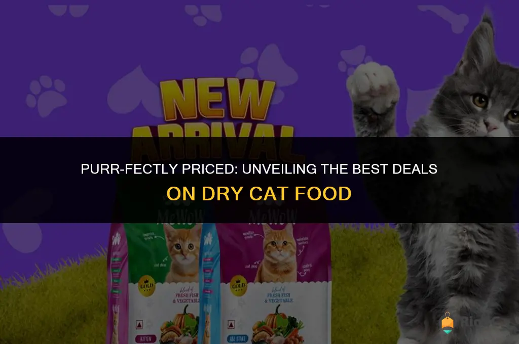 best dry cat food prices