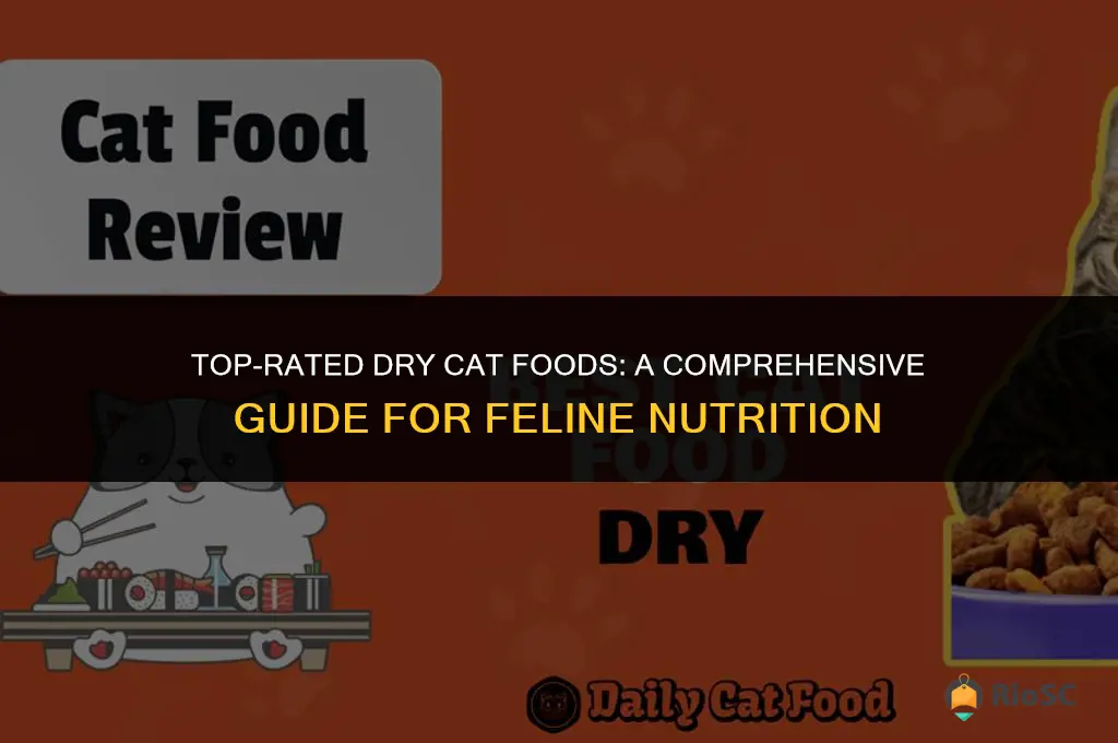 best dry cat food ratings