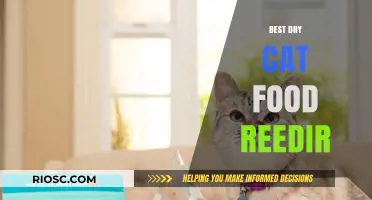 Top Picks for Your Feline Friend: The Best Dry Cat Food Options